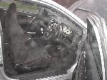 View civ_seats1