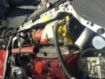 View civic19
