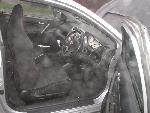 View civic65
